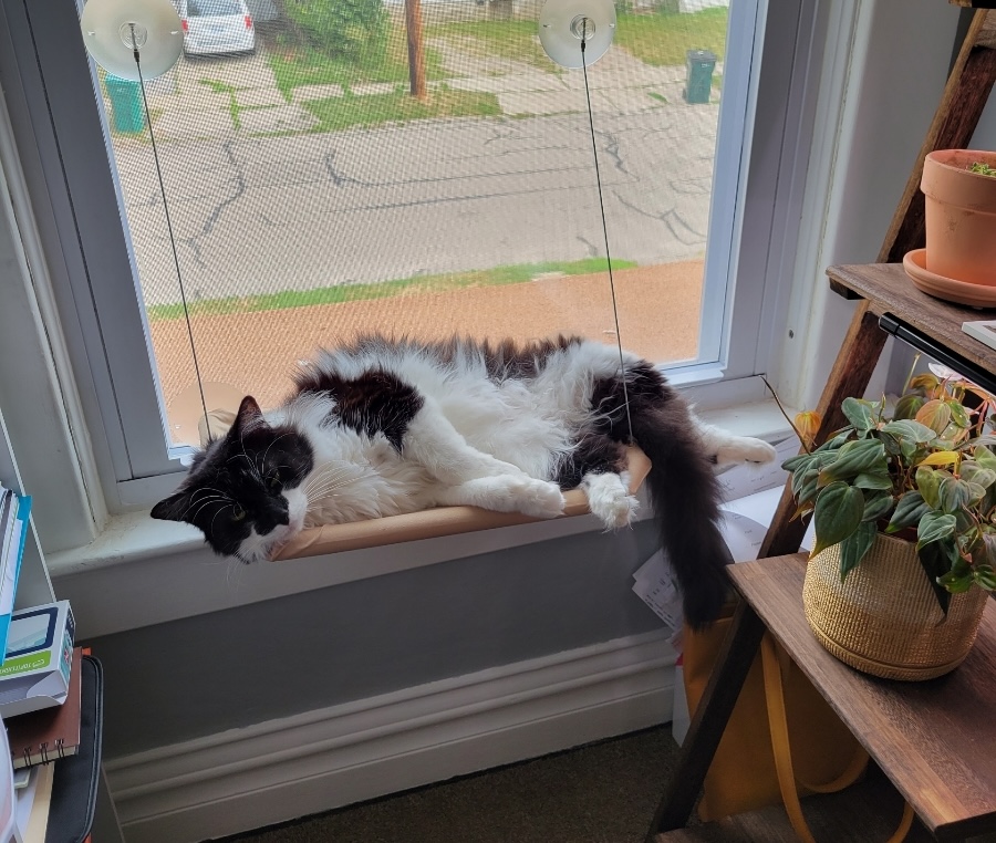 A classroom full of students face forward towards the instructor, who stands at a podium at the front of the room. Students have their laptops open on their desks. Three large TV screens are illuminated at the front of the classroom, displaying workshop materials.
